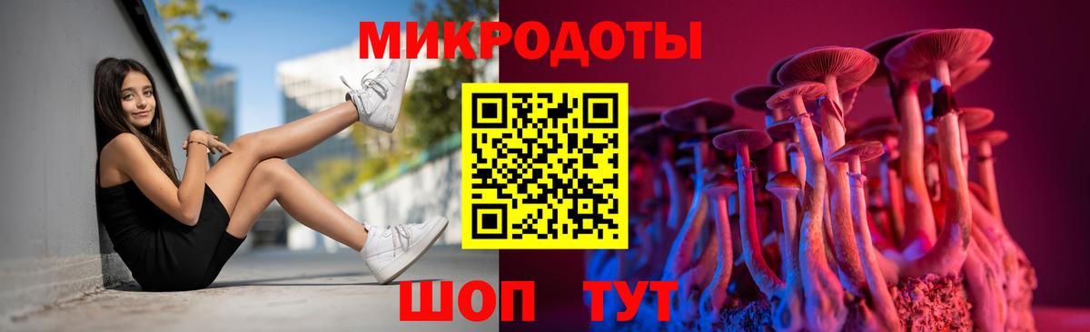 Псилоцибиновые грибы Psilocybine cubensis  Вход с VPN  Знаменск 